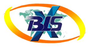 BLSX Limited Unlisted Share logo